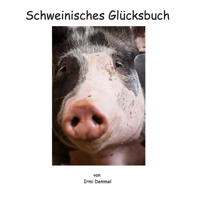 Das Cover meines Schweinischen Glücksbuchs.